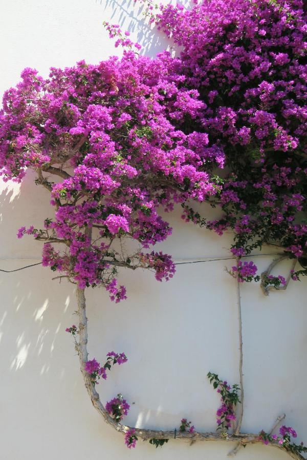 Las Rocas - Casa Diaz Roses Exterior photo